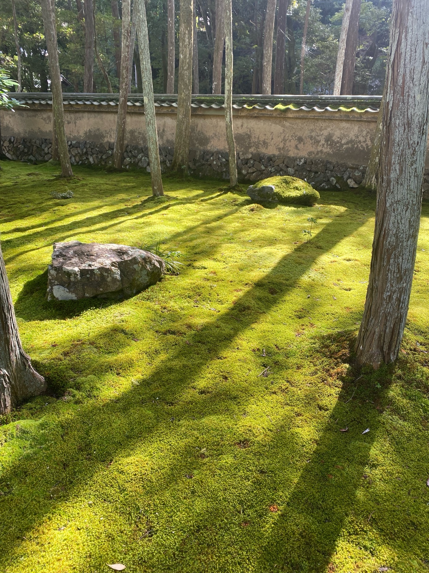 private japan tours with yuko