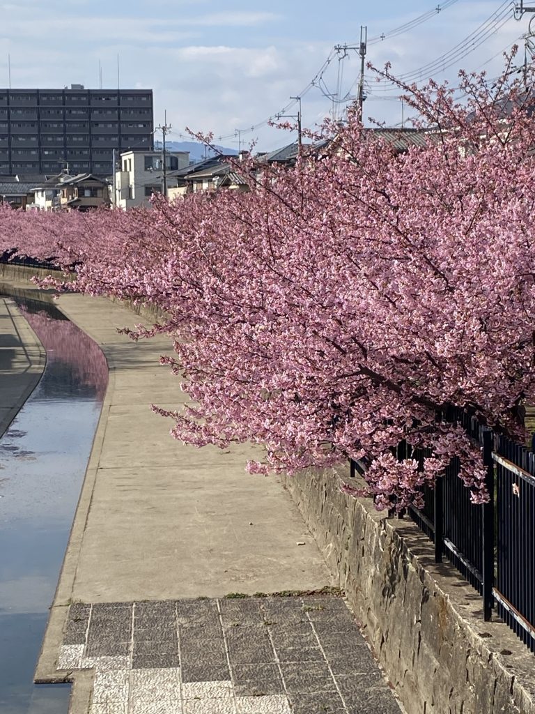 private japan tours with yuko